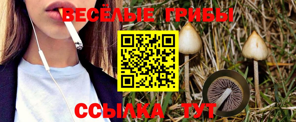 Котовск  Галлюциногенные грибы Magic Shrooms  купить наркоту  Вход с VPN 